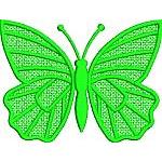 Green Leave Butterfly