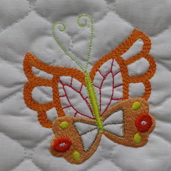 Colorlace Butterflies1